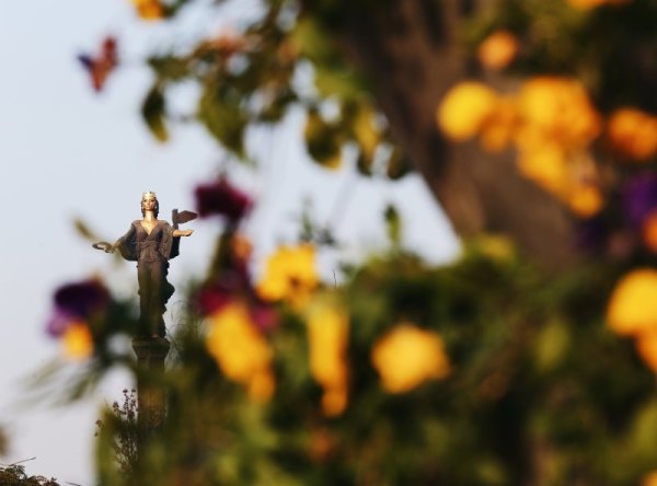 Красива есен в София. Снимка: БГНЕС