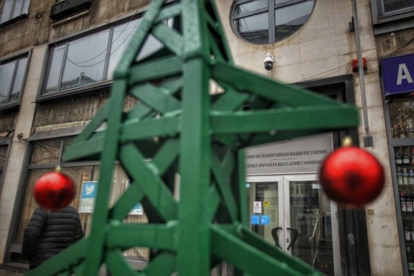 Снимка: Димитър Кьосемарлиев, Dnes.bg
