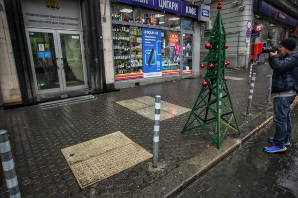 Снимка: Димитър Кьосемарлиев, Dnes.bg