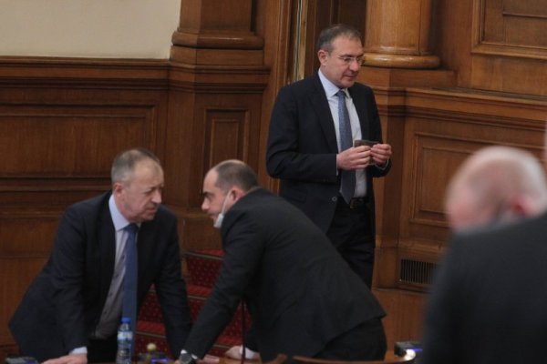 Снимка: Димитър Кьосемарлиев, Dnes.bg