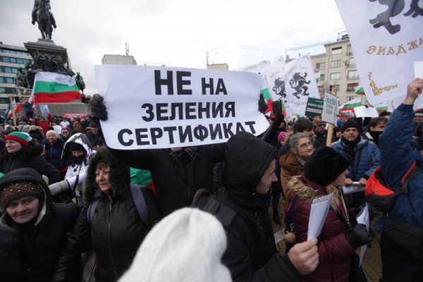 Снимка: Димитър Кьосемарлиев, Dnes.bg
