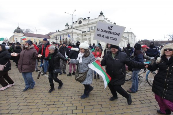 Снимка: Димитър Кьосемарлиев, Dnes.bg