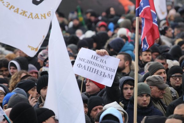 Снимка: Димитър Кьосемарлиев, Dnes.bg