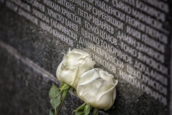 Снимка: Димитър Кьосемарлиев, Dnes.bg