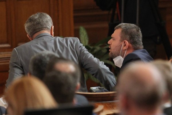 Снимка: Димитър Кьосемарлиев, Dnes.bg