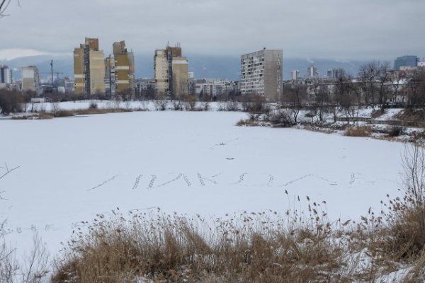 Снимка: Димитър Кьосемарлиев, Dnes.bg