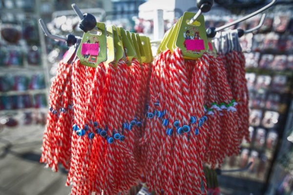 Снимка: Димитър Кьосемарлиев, Dnes.bg