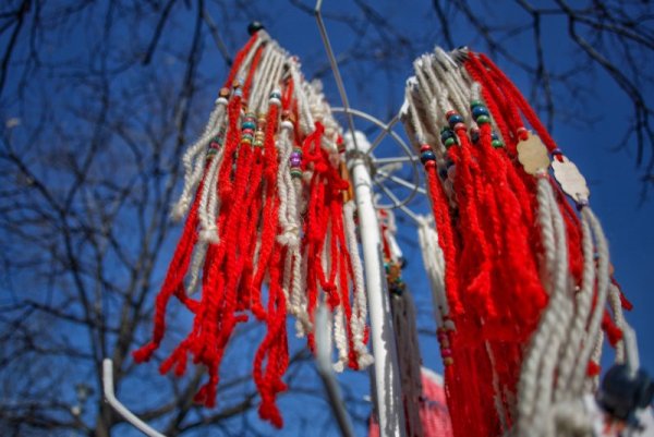 Снимка: Димитър Кьосемарлиев, Dnes.bg