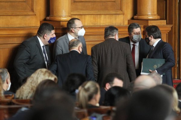 Снимка: Димитър Кьосемарлиев, Dnes.bg