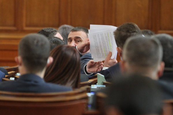 Снимка: Димитър Кьосемарлиев, Dnes.bg