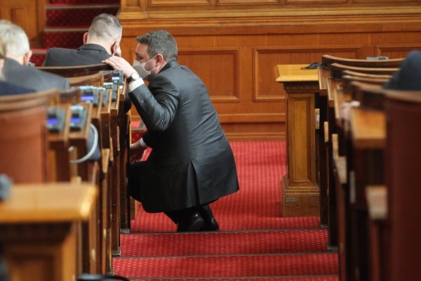 Снимка: Димитър Кьосемарлиев, Dnes.bg