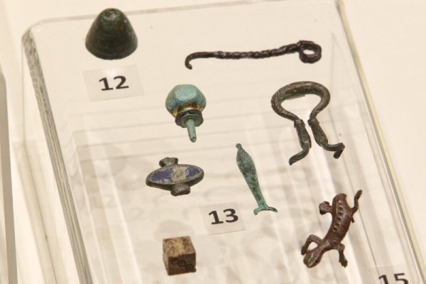 Снимка: Димитър Кьосемарлиев, Dnes.bg