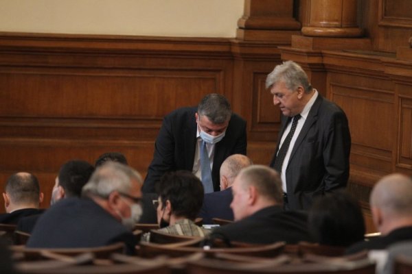 Снимка: Димитър Кьосемарлиев, Dnes.bg