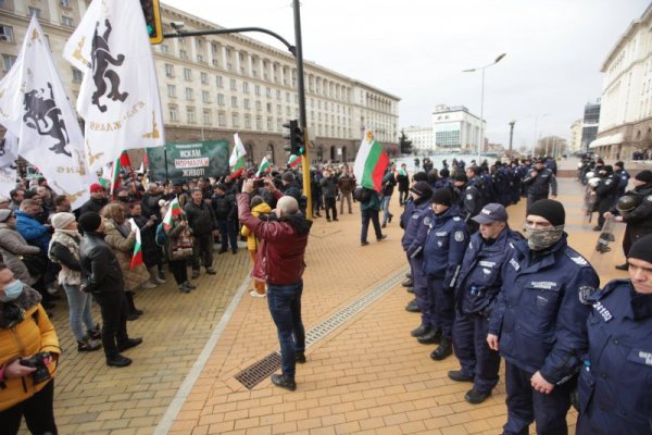 Снимка: Димитър Кьосемарлиев, Dnes.bg