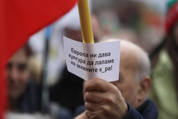 Снимка: Димитър Кьосемарлиев, Dnes.bg