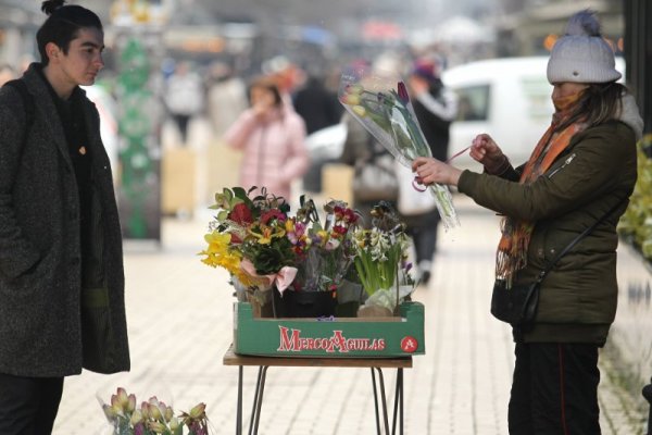 Снимка: Димитър Кьосемарлиев, Dnes.bg