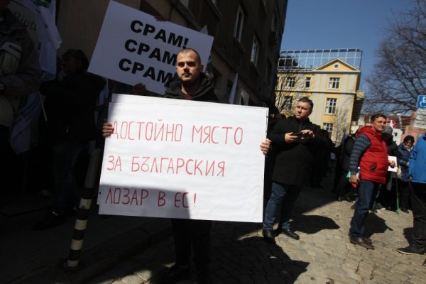 Снимка: Димитър Кьосемарлиев