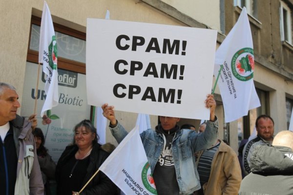 Снимка: Димитър Кьосемарлиев