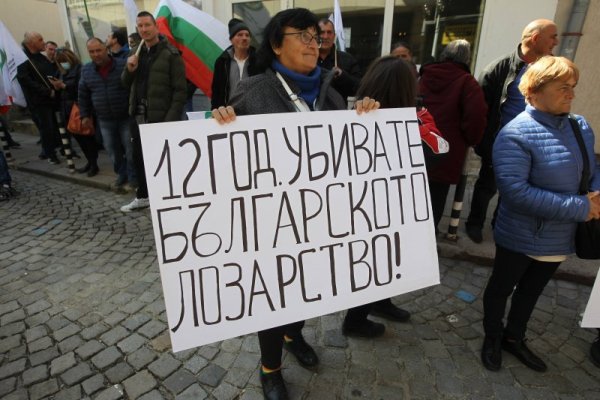 Снимка: Димитър Кьосемарлиев