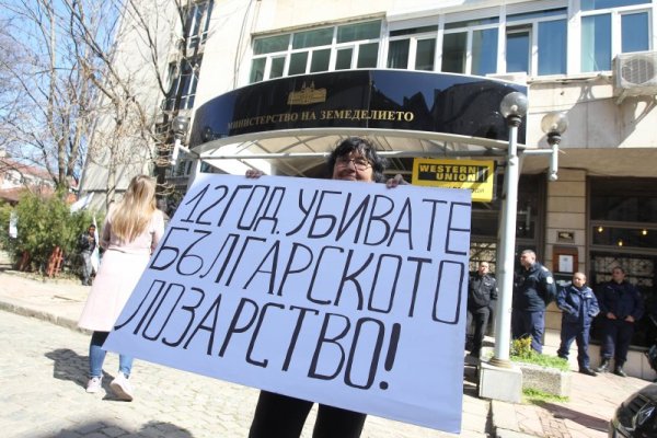 Снимка: Димитър Кьосемарлиев