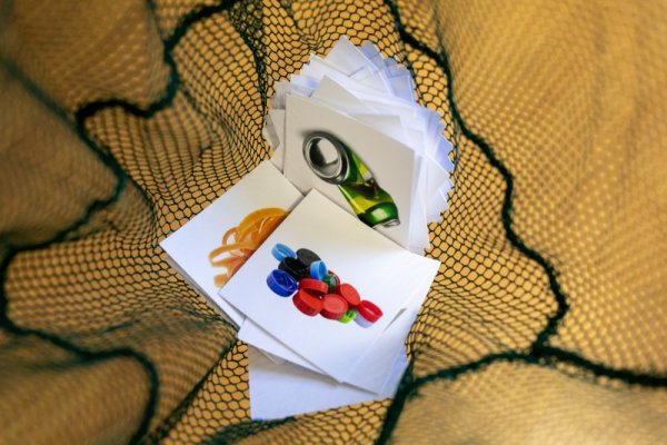 Снимка: Община Белослав