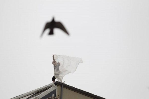 Снимка: Димитър Кьосемарлиев, Dnes.bg