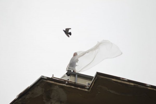 Снимка: Димитър Кьосемарлиев, Dnes.bg