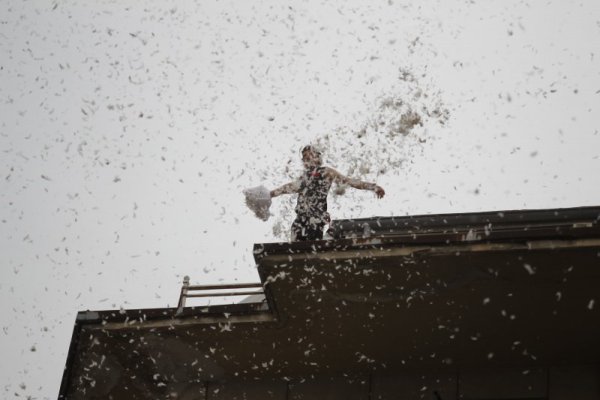 Снимка: Димитър Кьосемарлиев, Dnes.bg