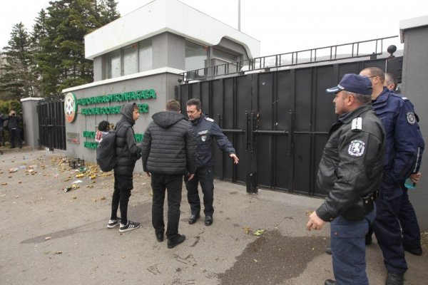 Снимка: Димитър Кьосемарлиев