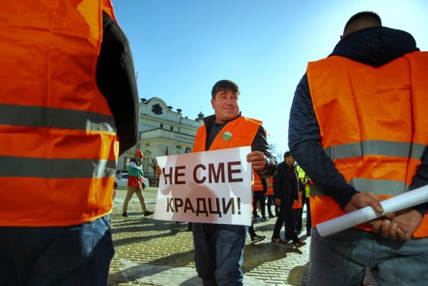 Снимка: Димитър Кьосемарлиев, Dnes.bg
