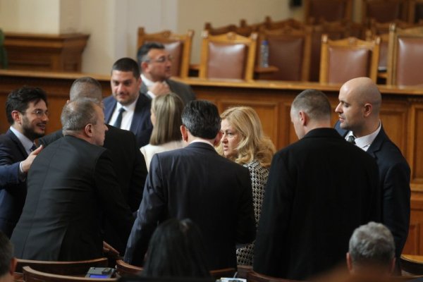 Снимка: Димитър Кьосемарлиев, Dnes.bg