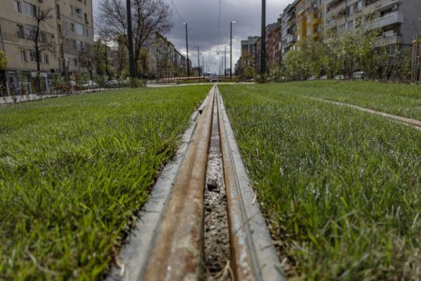 Снимка: Димитър Кьосемарлиев, Dnes.bg