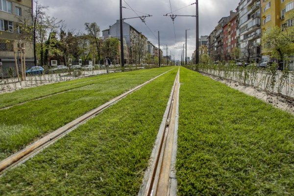 Снимка: Димитър Кьосемарлиев, Dnes.bg