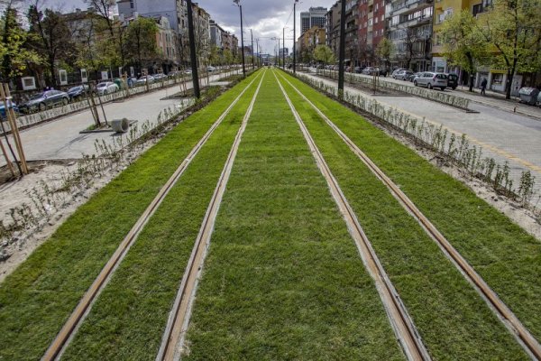 Снимка: Димитър Кьосемарлиев, Dnes.bg
