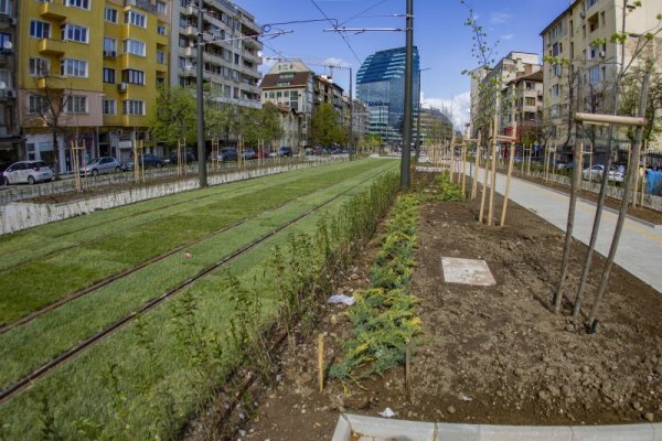 Снимка: Димитър Кьосемарлиев, Dnes.bg