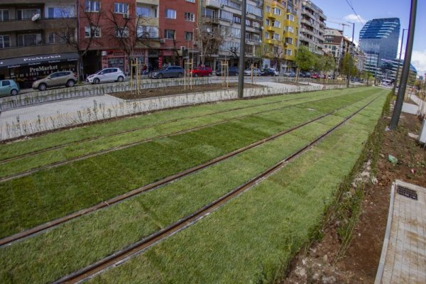 Снимка: Димитър Кьосемарлиев, Dnes.bg