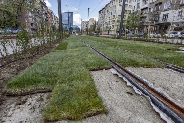 Снимка: Димитър Кьосемарлиев, Dnes.bg