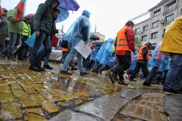 Снимка: Димитър Кьосемарлиев, Dnes.bg