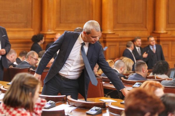 Снимка: Димитър Кьосемарлиев, Dnes.bg