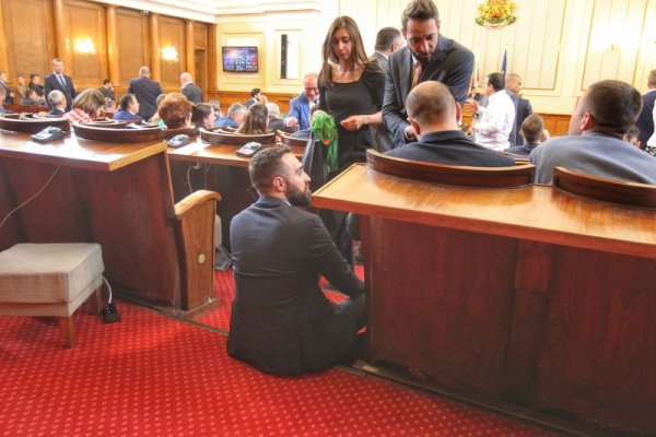 Снимка: Димитър Кьосемарлиев, Dnes.bg