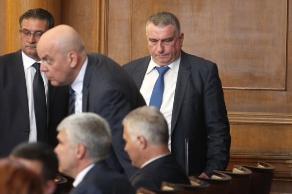 Снимка: Димитър Кьосемарлиев, Dnes.bg