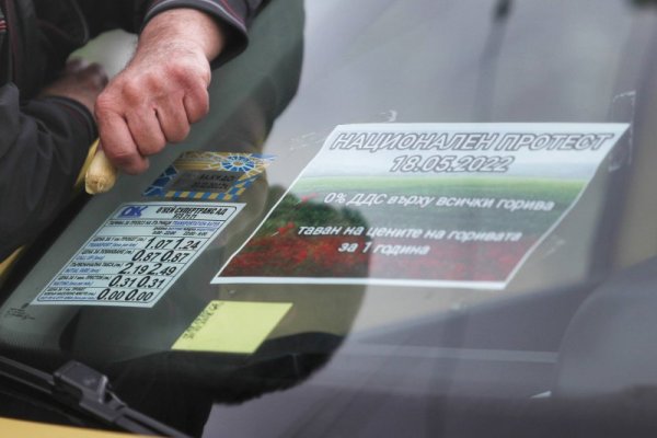 Снимка: Димитър Кьосемарлиев, Dnes.bg
