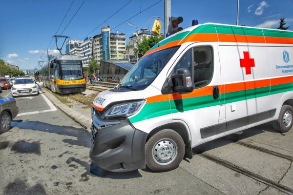 Снимка: Димитър Кьосемарлиев