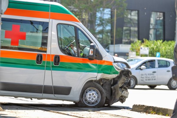 Снимка: Димитър Кьосемарлиев