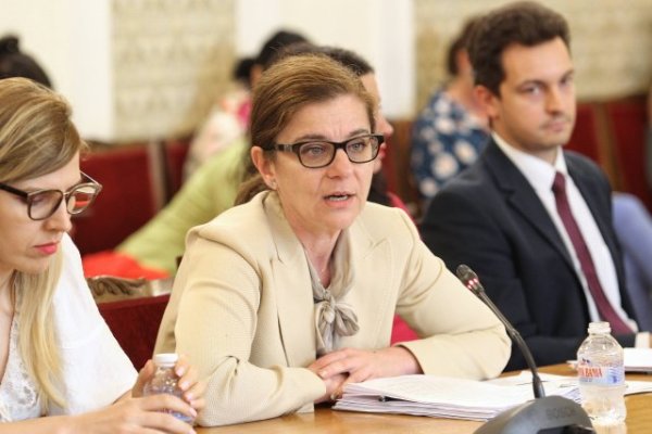 Снимка: Димитър Кьосемарлиев, Dnes.bg