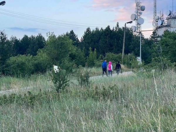 Още преди изгрев слънце, десетки търновци тръгнаха към поляните на Арбанаси и Ксилифор за да си наберат билки. Вярва се, че тогава лековитите треви са най-силни и могат да ни предпазят от всички болести. Берат се 77 билки и половина, които се сплитат във венец, а старият се изгаря. Снимка: БГНЕС