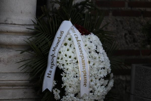 Снимка: Димитър Кьосемарлиев, Dnes.bg