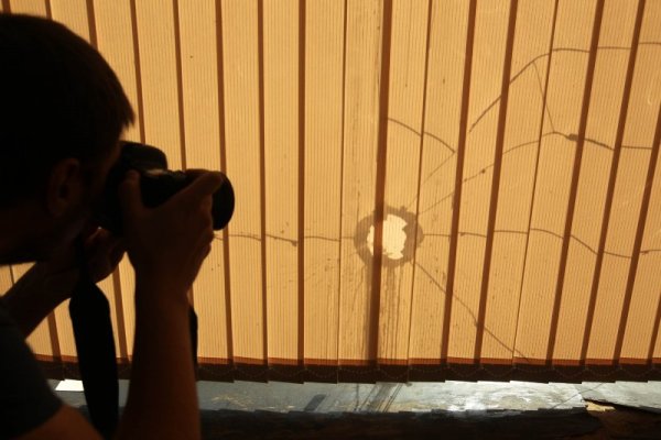 Снимка: Димитър Кьосемарлиев, Dnes.bg