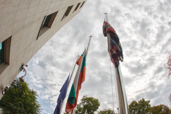 Снимка: Димитър Кьосемарлиев, Dnes.bg