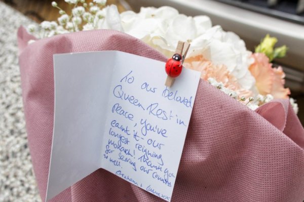 Снимка: Димитър Кьосемарлиев, Dnes.bg